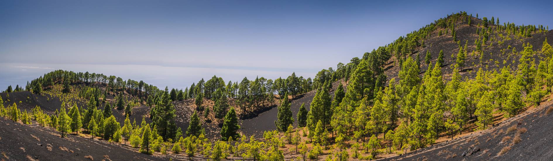 Photo - Îles Canaries - Iles Canaries #16